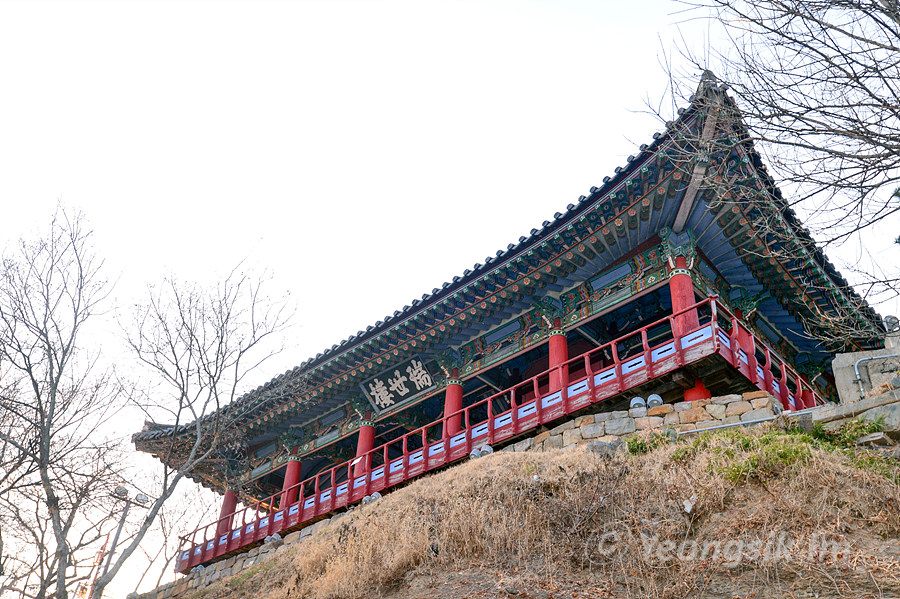 영천 조양각_4596.jpg