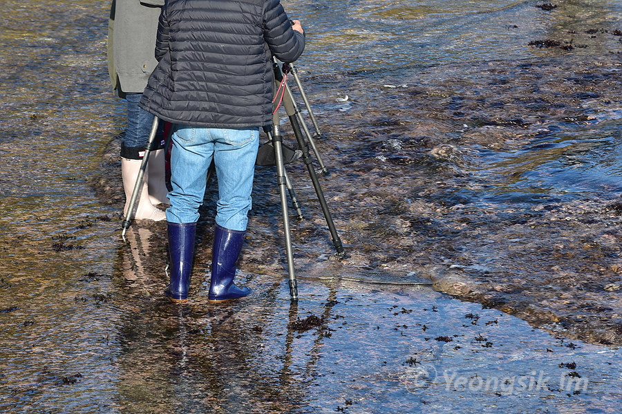 모포항 물통바위_3987.jpg