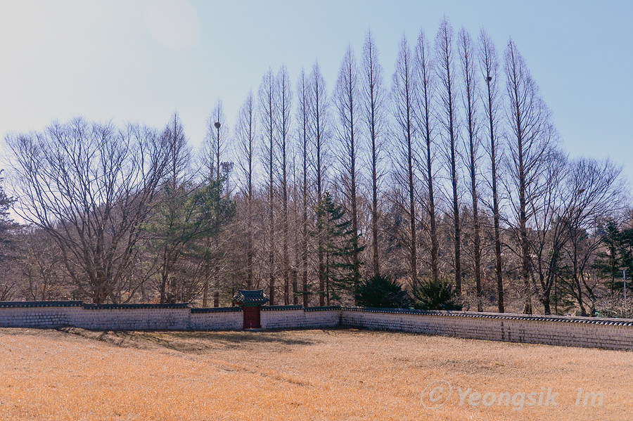 전주 조경단_4009.jpg