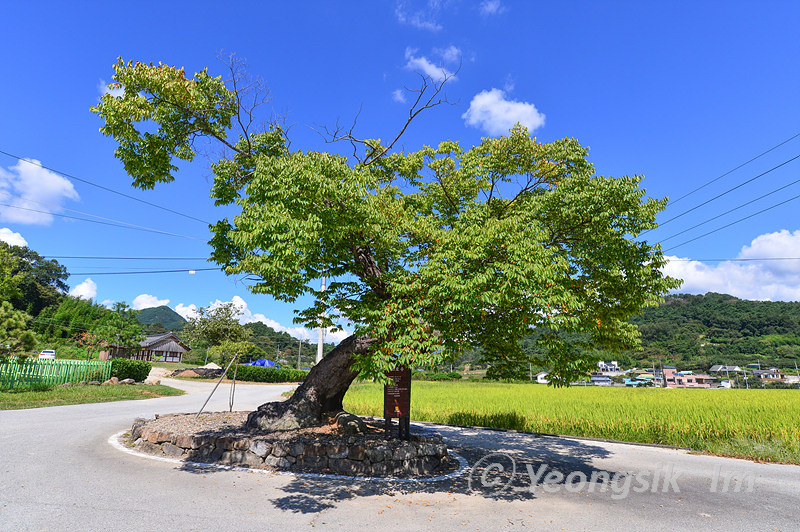 구례향교_3034.jpg