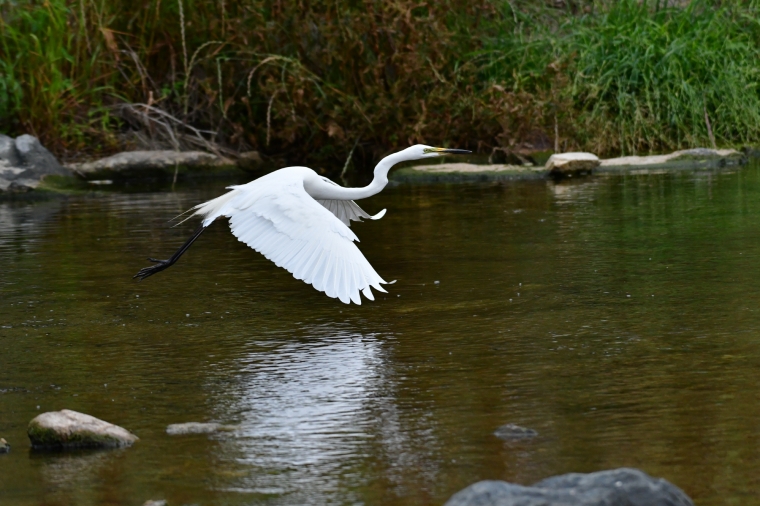 크기변환_DSC_2622.JPG