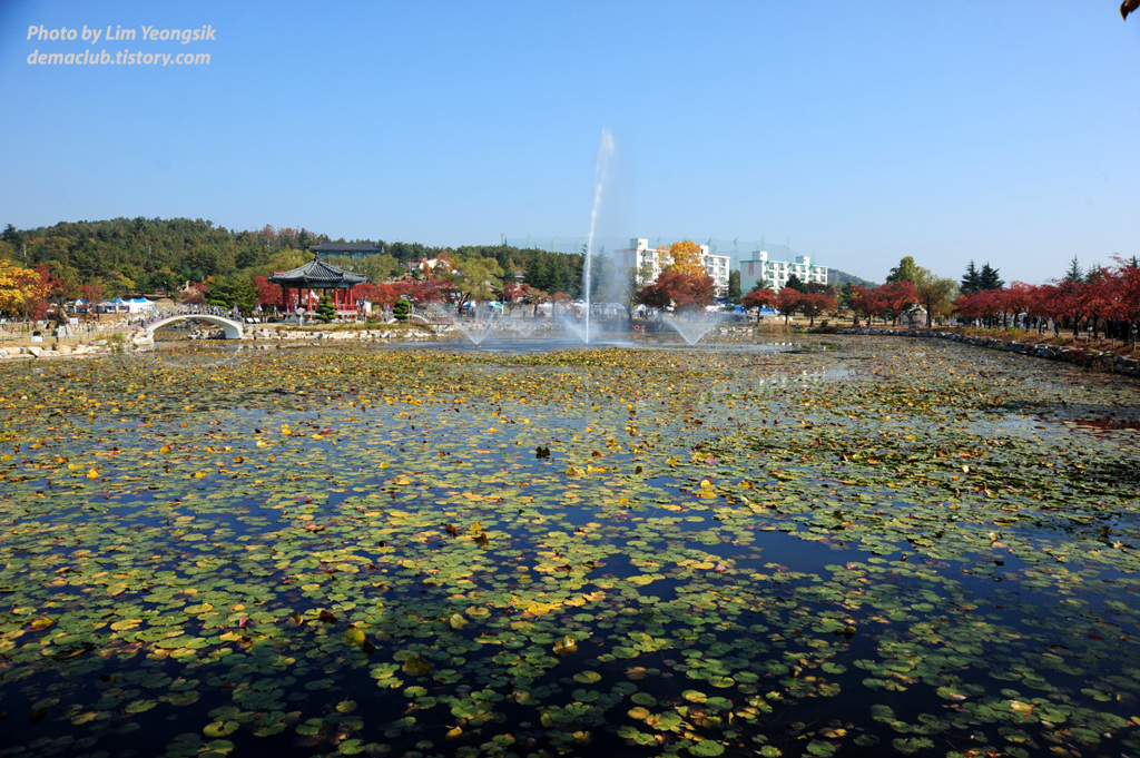 호국정.jpg